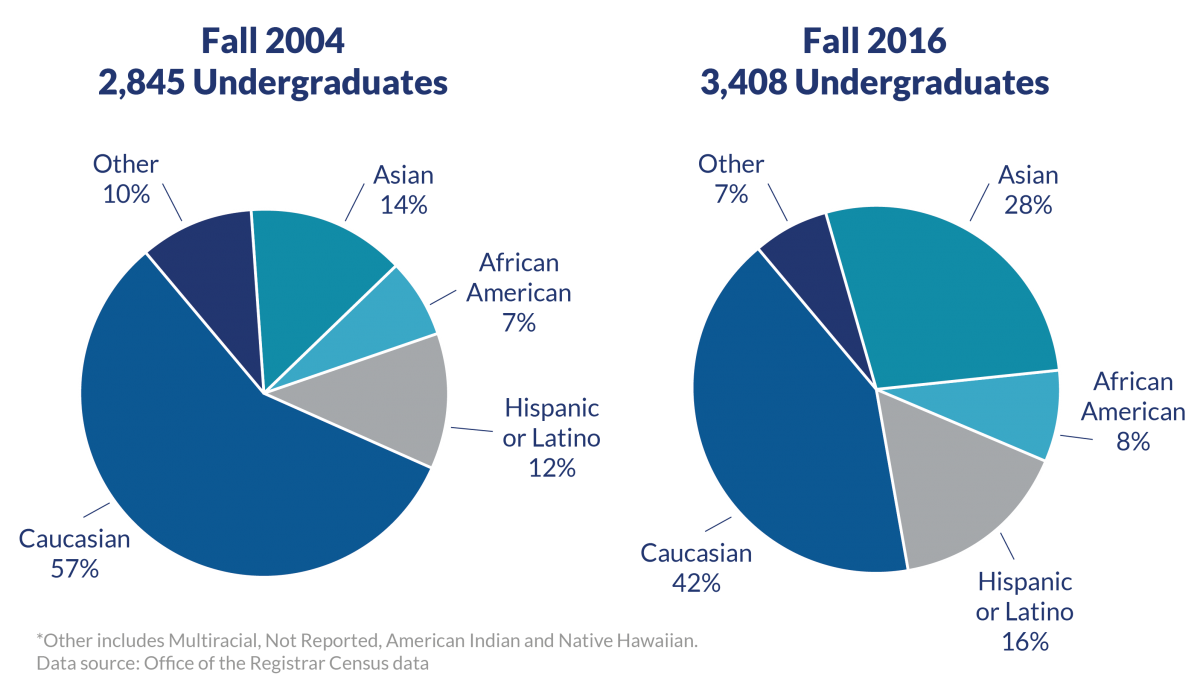 Undergraduate diversity has increased: Degree-seeking domestic students